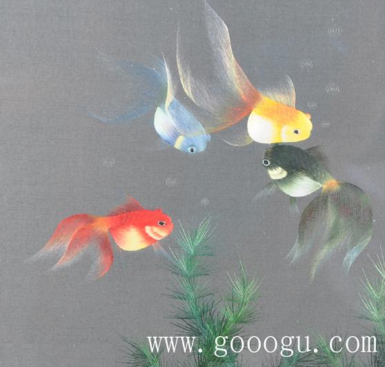 金魚自由自在的游動(dòng)、展現(xiàn)出形態(tài)優(yōu)美的舞姿！